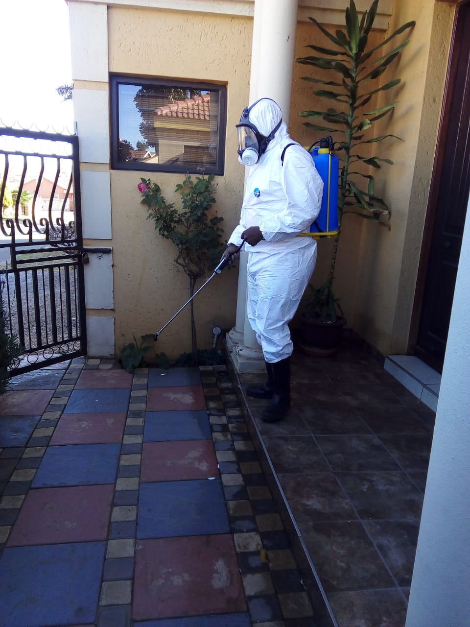 Termite damage inspection